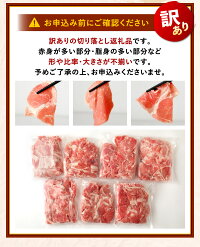 【ふるさと納税】【訳あり】九州産豚切り落とし合計3.8kgたっぷり7袋小分け豚肉お肉小分け簡易真空冷凍国産九州送料無料(クラウドファンディング対象)