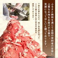 【ふるさと納税】【訳あり】九州産豚切り落とし合計3.8kgたっぷり7袋小分け豚肉お肉小分け簡易真空冷凍国産九州送料無料(クラウドファンディング対象)