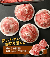 【ふるさと納税】【訳あり】九州産豚切り落とし合計3.8kgたっぷり7袋小分け豚肉お肉小分け簡易真空冷凍国産九州送料無料(クラウドファンディング対象)