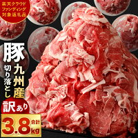 【ふるさと納税】【訳あり】九州産豚切り落とし合計3.8kgたっぷり7袋小分け豚肉お肉小分け簡易真空冷凍国産九州送料無料