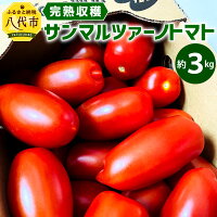 ふるさと納税 トマト 完熟収穫 国産 サンマルツァーノトマト サンマルツァーノリゼルバ 約3kg 野菜 トマト 野菜 新鮮 旬 国産 熊本県 九州 送料無料 熊本県八代市イタリアの伝統的品種サンマルツァーノを日本の食卓向けに改良したトマト 加熱しても煮崩れが少なく甘み ふるさと納税 トマト 完熟収穫 国産 サンマルツァーノトマト サンマルツァーノリゼルバ 約3kg 野菜 トマト 野菜 新鮮 旬 国産 熊本県 九州 送料無料 熊本県八代市イタリアの伝統的品種サンマルツァーノを日本の食卓向けに改良したトマト 加熱しても煮崩れが少なく甘み