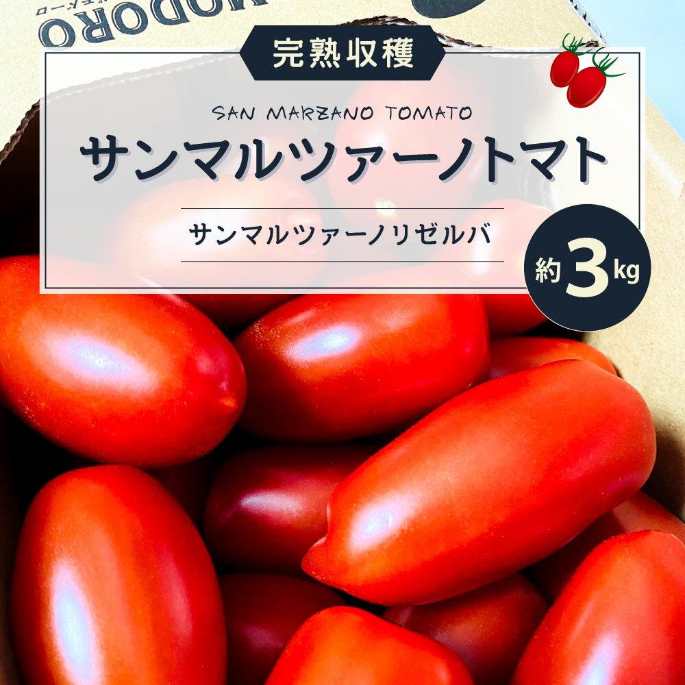 ふるさと納税 トマト 完熟収穫 国産 サンマルツァーノトマト サンマルツァーノリゼルバ 約3kg 野菜 トマト 野菜 新鮮 旬 国産 熊本県 九州 送料無料 熊本県八代市イタリアの伝統的品種サンマルツァーノを日本の食卓向けに改良したトマト 加熱しても煮崩れが少なく甘み