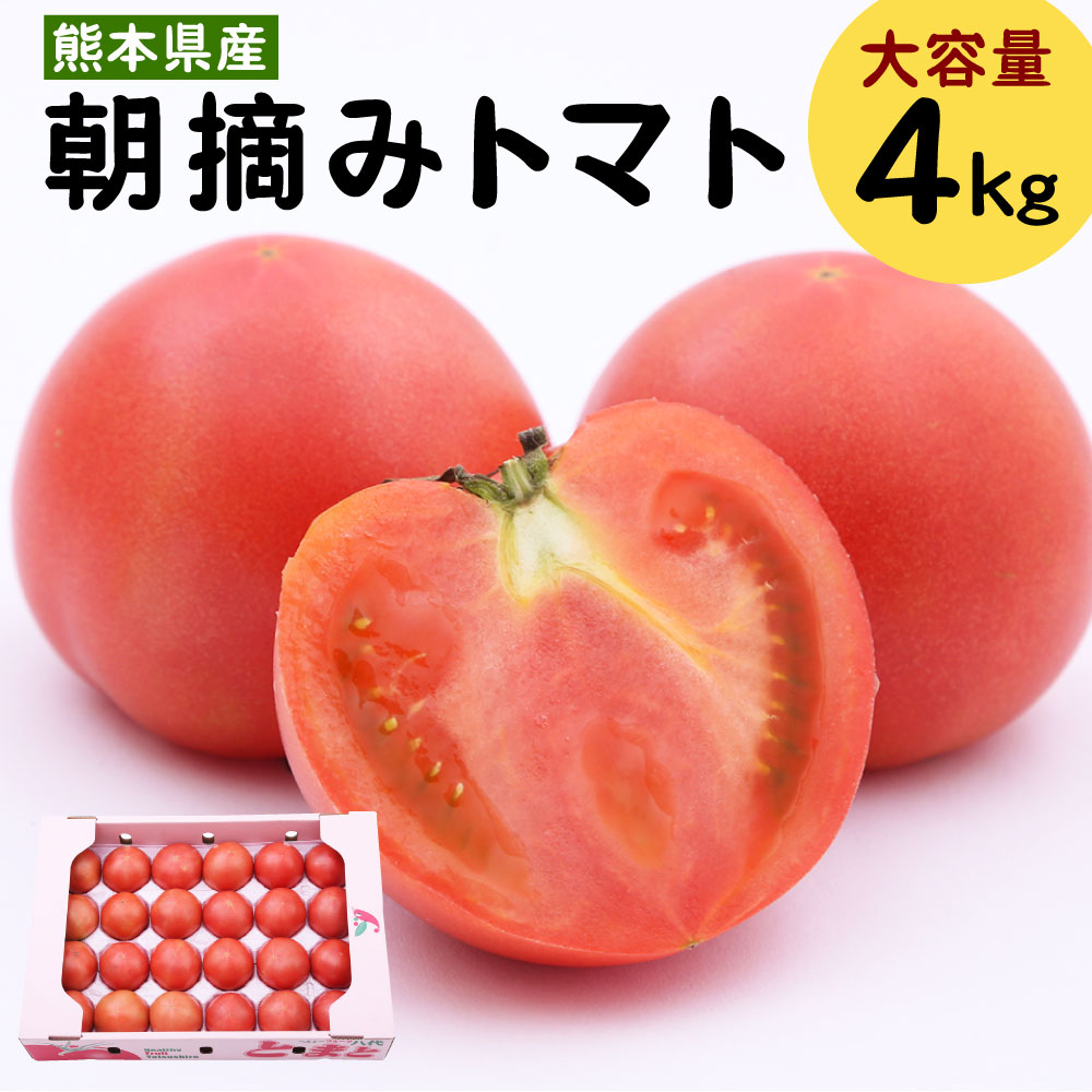【ふるさと納税】濃厚食感＆旨味果汁 トマト 大容量 4kg 箱 朝摘みトマト 野菜 とまと 農産物 熊本県産 九州産 国産 送料無料