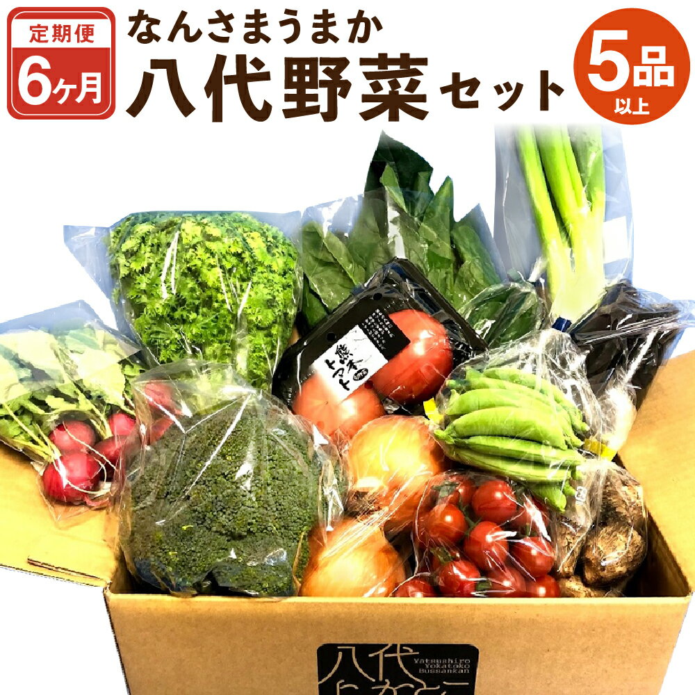 【ふるさと納税】【毎月6ヵ月定期便】なんさまうまか 八代野菜セット 5品以上 野菜 やさい 詰め合わせ 定期便 毎月届く 旬の野菜 新鮮 朝採れ 八代よかとこ物産館 国産 九州産 熊本県産 送料無料