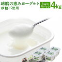 【ふるさと納税】球磨の恵み ヨーグルト 砂糖不使用 1kg×4パック 合計4kg 無糖 人吉球磨産 乳製品 生乳100% 送料無料