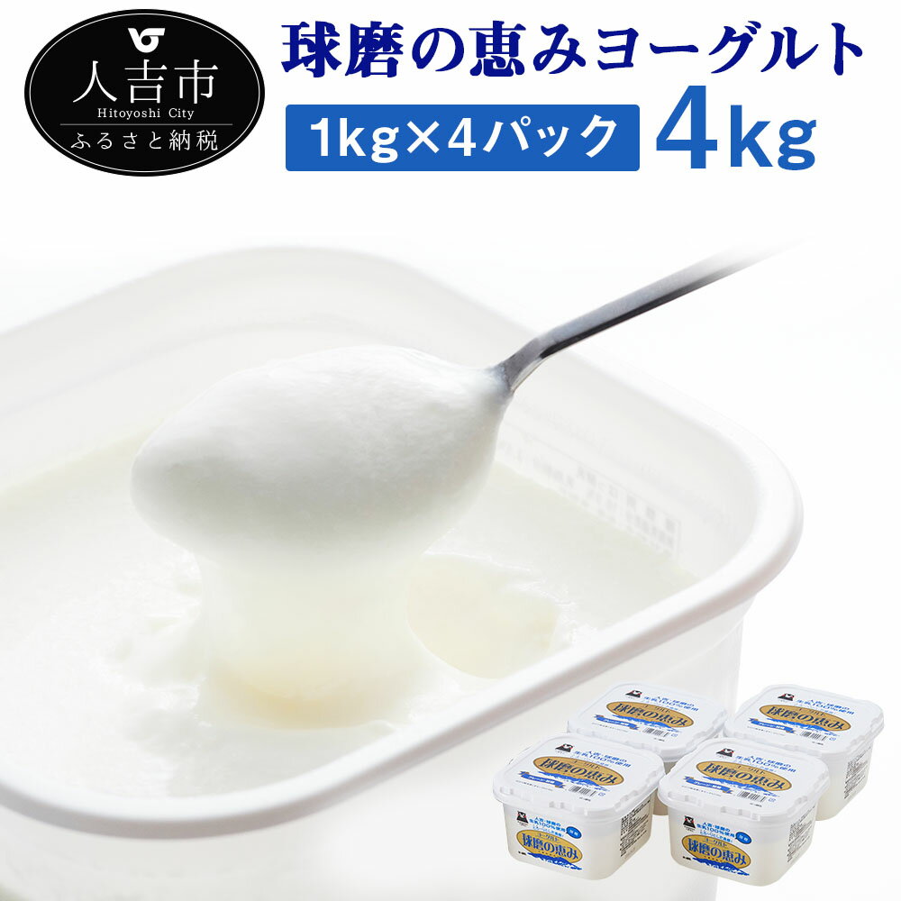 【ふるさと納税】球磨の恵み ヨーグルト 1kg×4パック 合計4kg 人吉球磨産 乳製品 送料無料