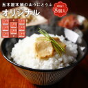 【ふるさと納税】五木屋本舗の山うにとうふオリジナル 100g×8個入 オリジナル 豆腐 おつまみ 送料無料