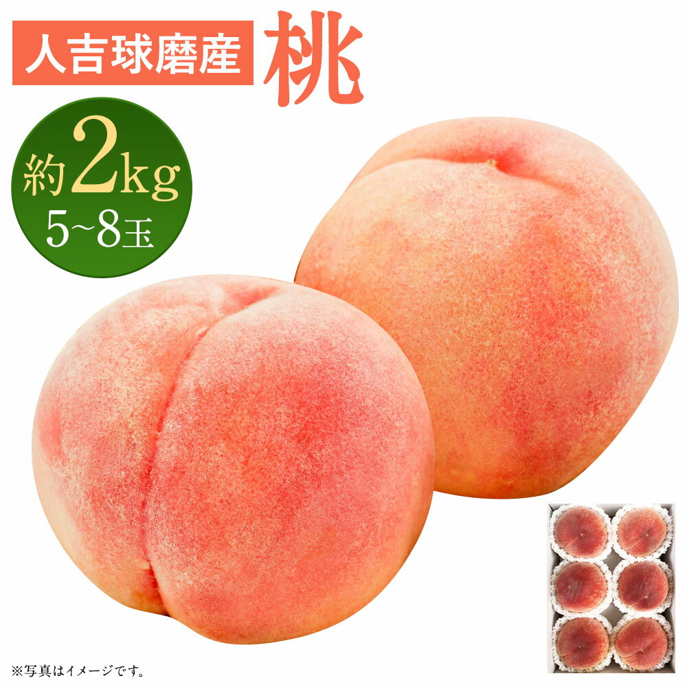 【ふるさと納税】桃 約2kg 5〜8玉 もも 果物 フルーツ 熊本県産 九州産 冷蔵 送料無料【2024年6月下旬より順次発送予定】