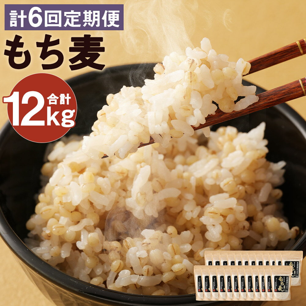 【ふるさと納税】【定期便6回】熊本県産 もち麦 ...の商品画像