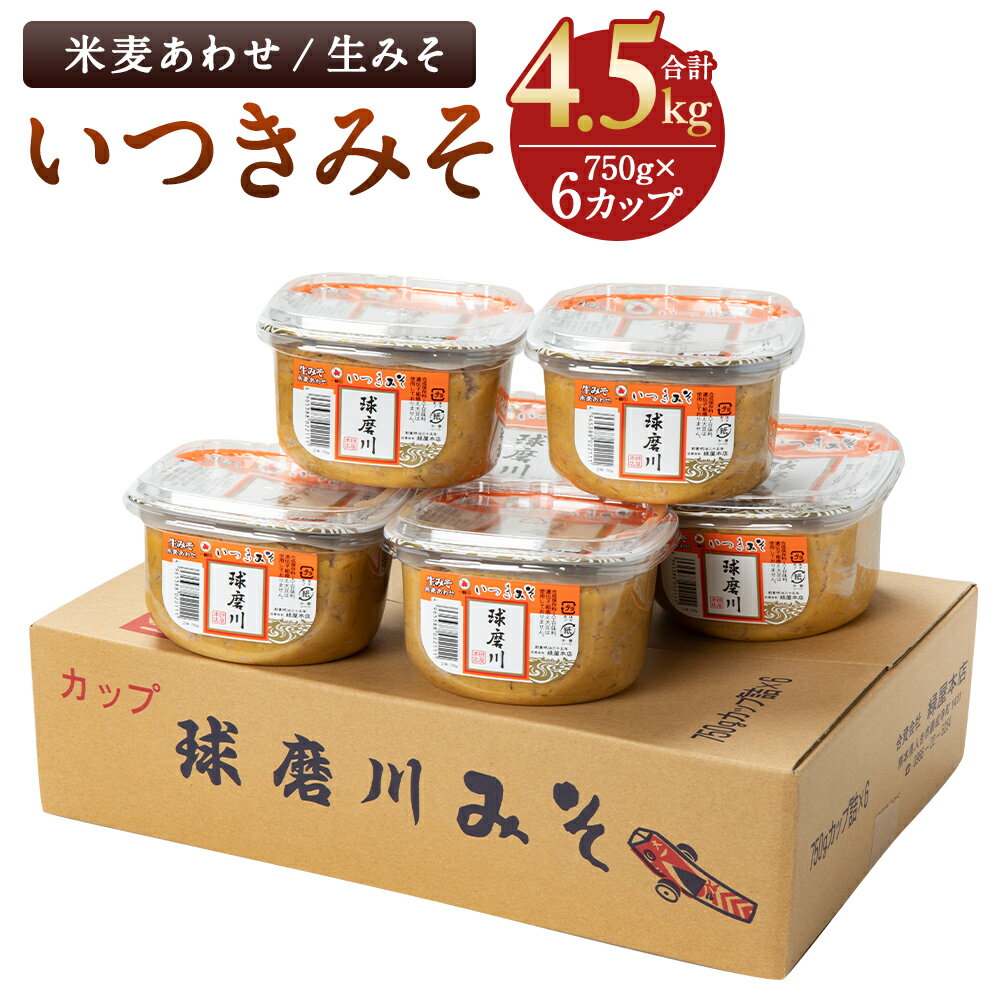 ひとよしの百年蔵 いつきみそ「球磨川」セット 750g×6カップ 計4.5kg 米麦あわせ 生みそ 味噌 九州 小分け 贈り物 ギフト 送料無料