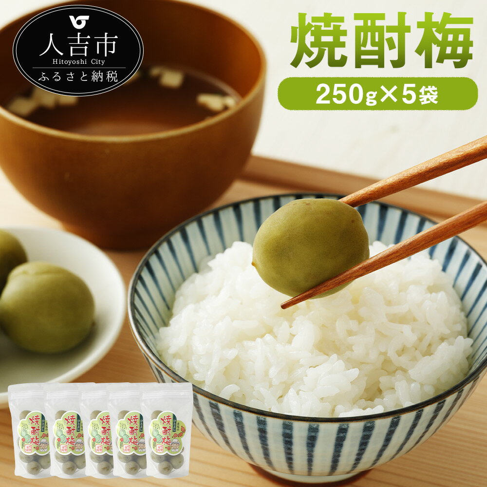 【ふるさと納税】無添加 焼酎梅 250g×5袋 合計1.25kg 梅干し 漬物 つけもの 和食 熊本県産 国産 九州産 送料無料