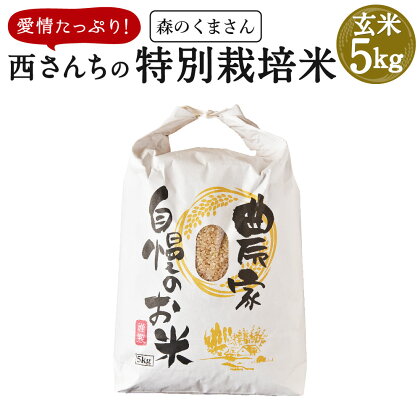 令和元年度産 新米 愛情たっぷり!西さんちの特別栽培米 森のくまさん 5kg 米 玄米 国産 九州産 熊本県産 送料無料