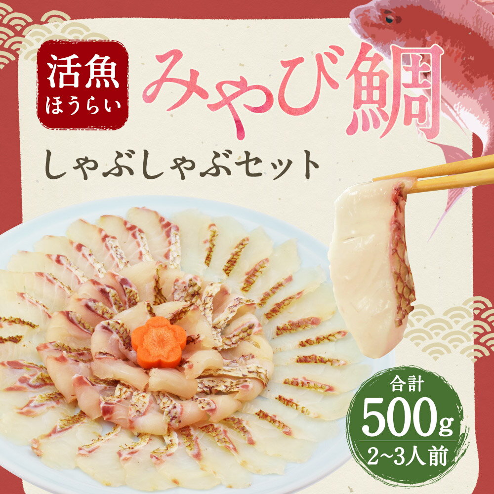 【ふるさと納税】活魚ほうらい みやび鯛しゃぶセット 250g×2パック 合計500g 2〜3人前 鯛しゃぶ しゃぶしゃぶ 海鮮 スープ付き 冷凍 熊本県産 九州産 国産 送料無料