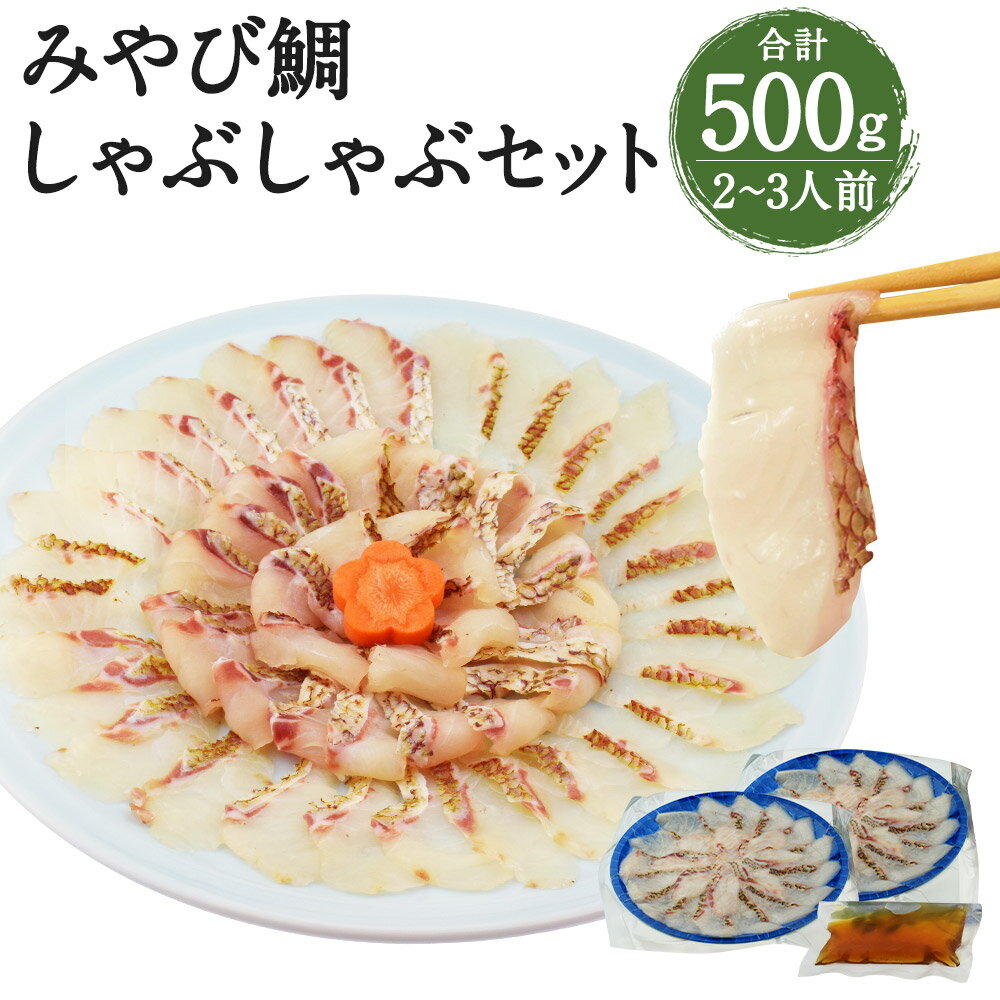 【ふるさと納税】活魚ほうらい みやび鯛しゃぶセット 250g×2パック 合計500g 2〜3人前 鯛しゃぶ しゃぶしゃぶ 海鮮 スープ付き 冷凍 熊本県産 九州産 国産 送料無料