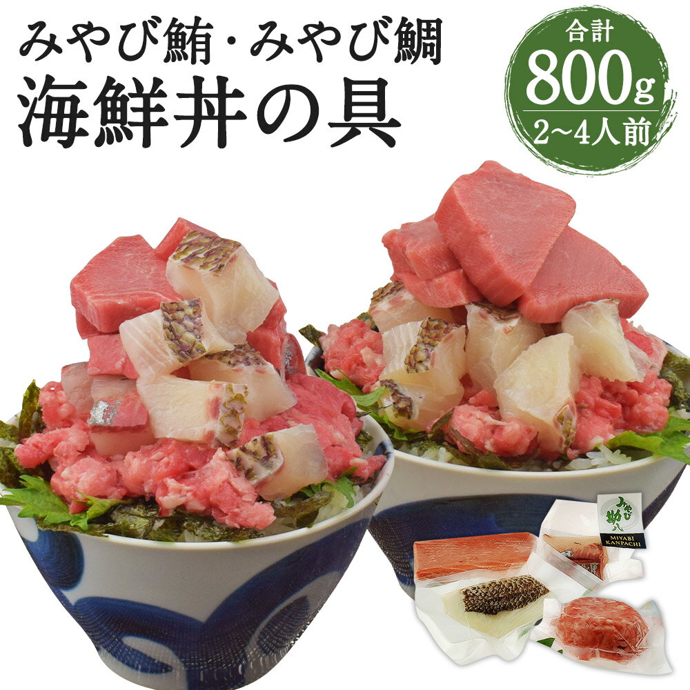 【ふるさと納税】活魚ほうらい名物 無限大量 漁師めし ぶつ切り 4種類×各200g 合計800g 2〜4人前 鯛 マグロ カンパチ 海鮮丼 冷凍 熊本県産 九州...