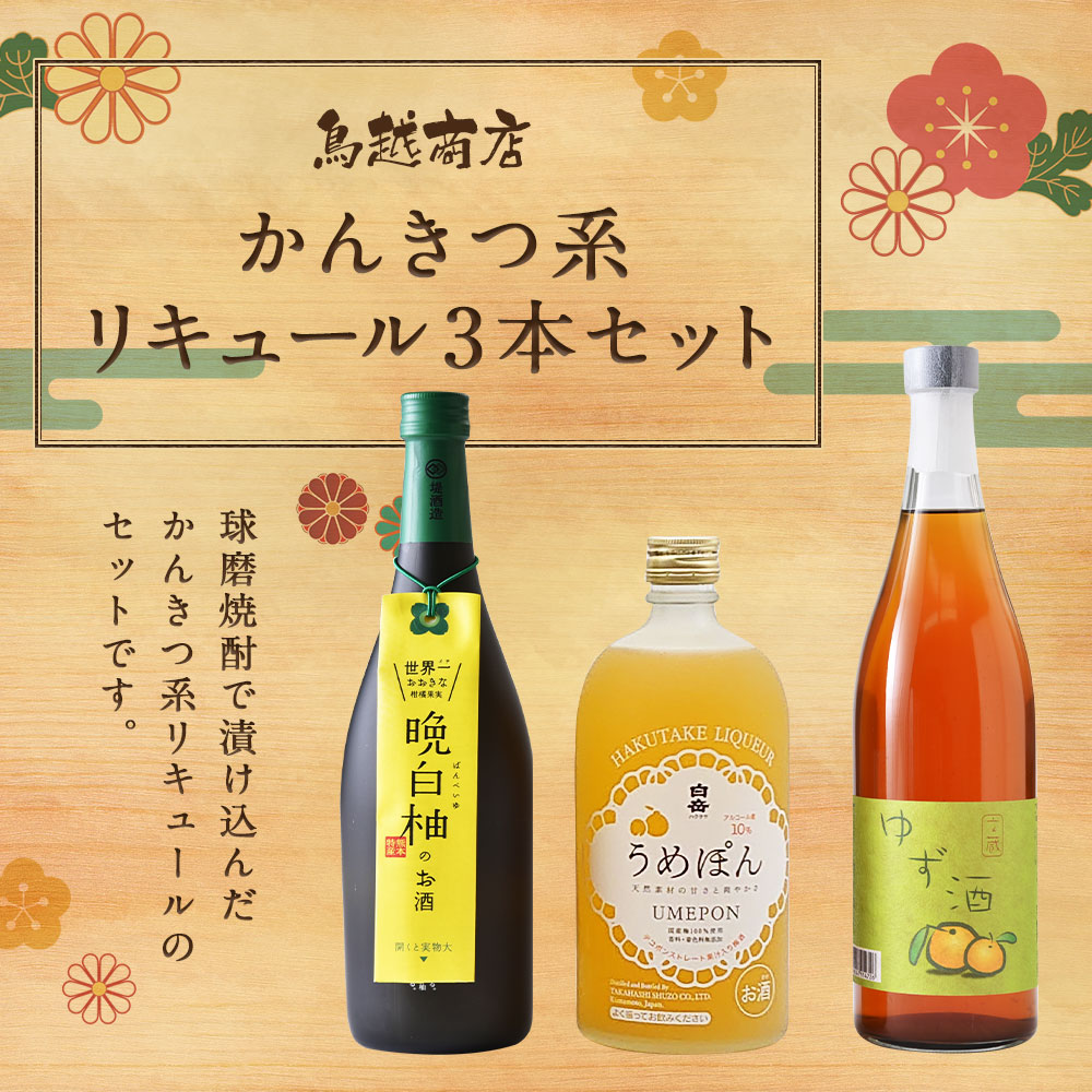 【ふるさと納税】かんきつ系リキュール 3本セット 500ml 720ml 各1本 飲み比べ リキュール 酒 柑橘系 果実酒 球磨焼酎 送料無料