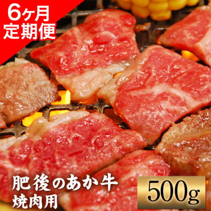 6ヶ月定期便 肥後のあか牛 焼肉用 500g（計6回お届け×500g 合計:3kg） アントレ 牛肉 あか牛 赤牛 あかうし《お申込み月の翌月から出荷開始》