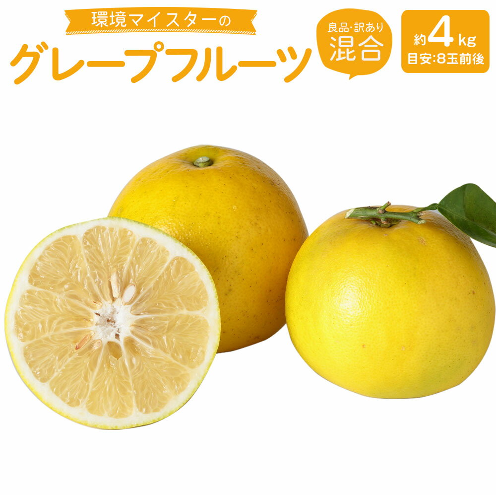 【ふるさと納税】環境マイスターのグレープフルーツ 良品 訳あり 混合 約4kg 8玉前後 栽培期間中 無肥料 無農薬 グレープフルーツ フルーツ 果物 国産 九...