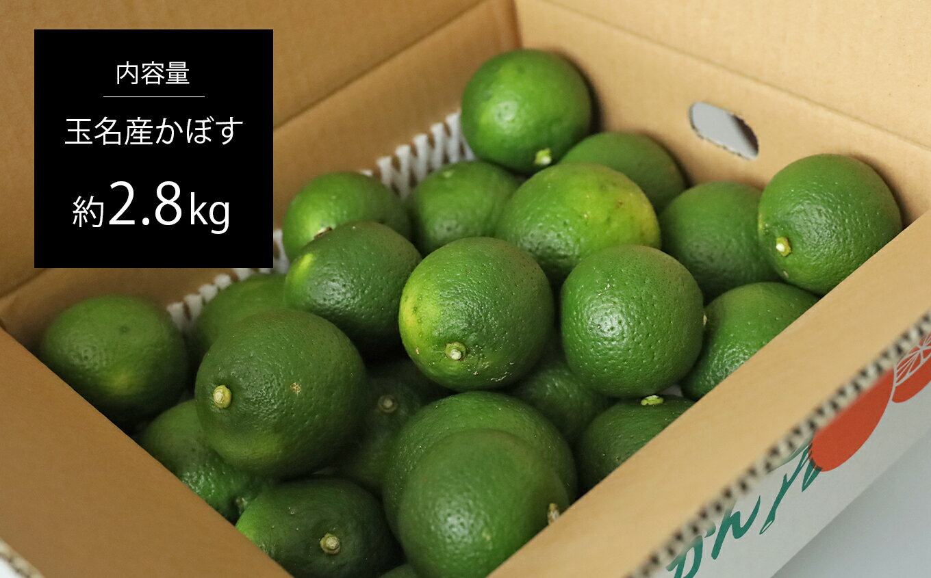 熊本県玉名市の画像2