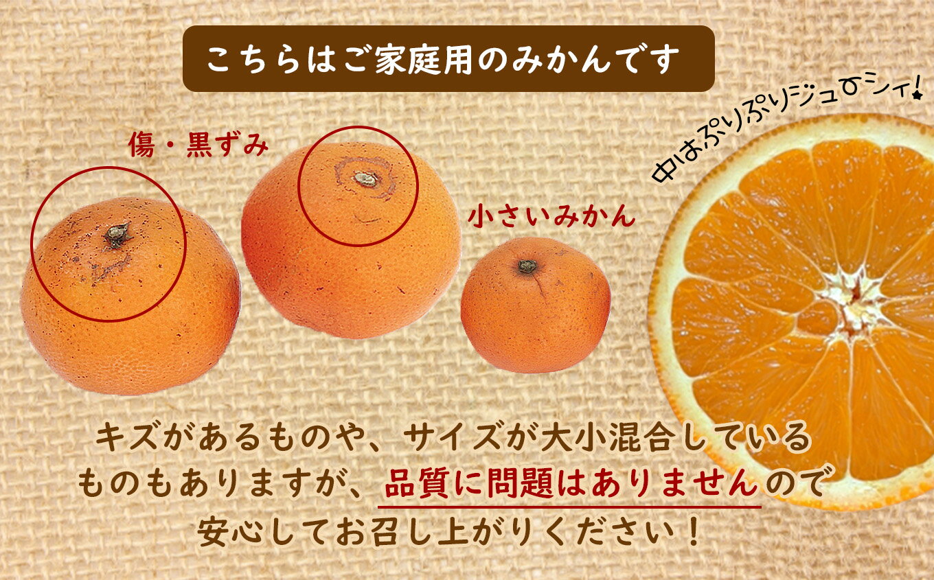 熊本県玉名市の画像3
