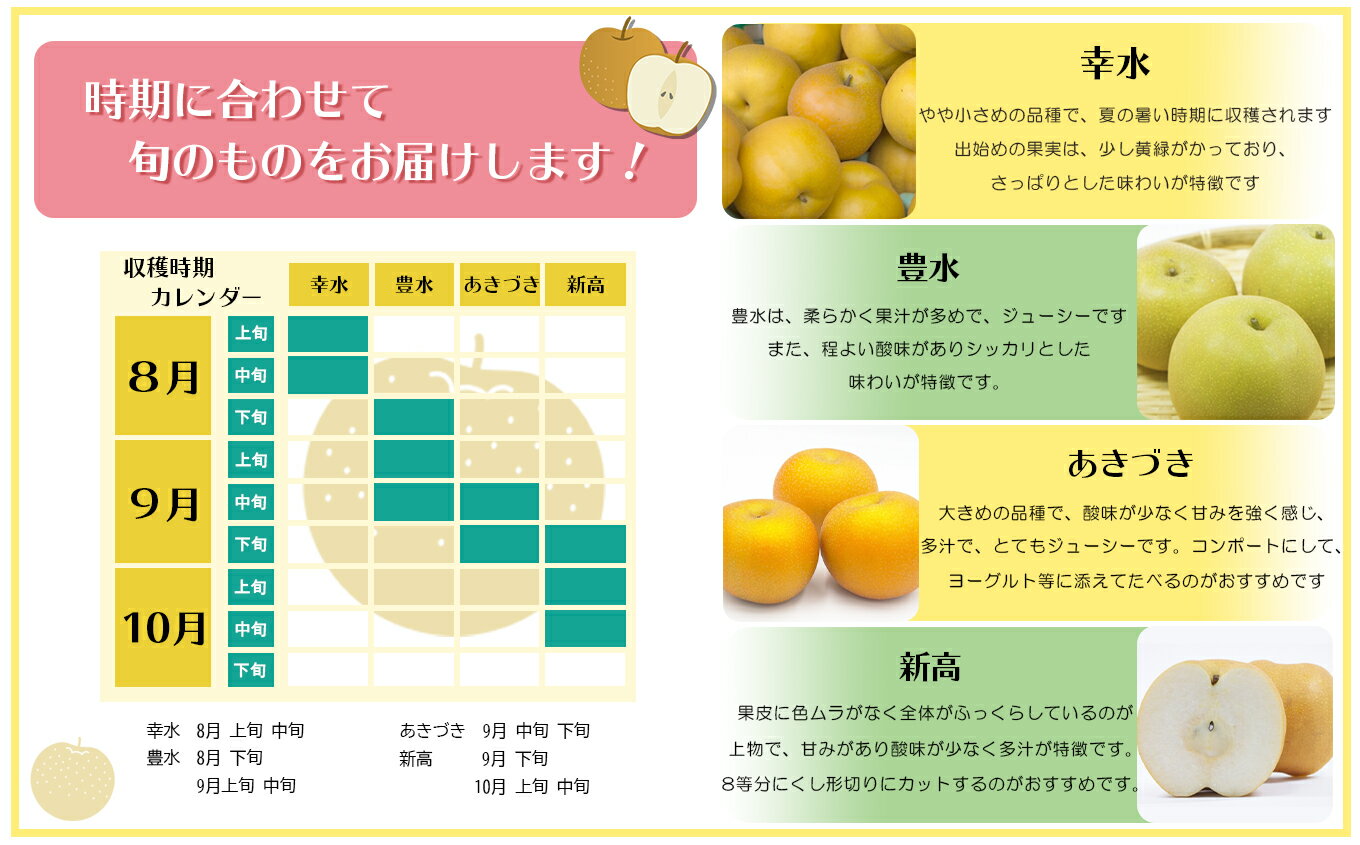 熊本県玉名市の画像3