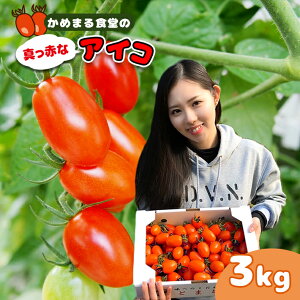 【ふるさと納税】ミニトマト アイコ トマト 赤 3kg 3キロ 1箱 産地直送 生産者直送 玉名 熊本 送料無料
