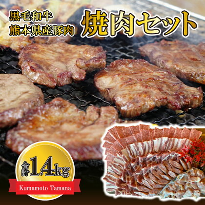 牛肉 焼肉 黒毛和牛 国産豚肉 焼肉セット 合計1.4kg アウトドア バーベキュー おうち時間 熊本 送料無料