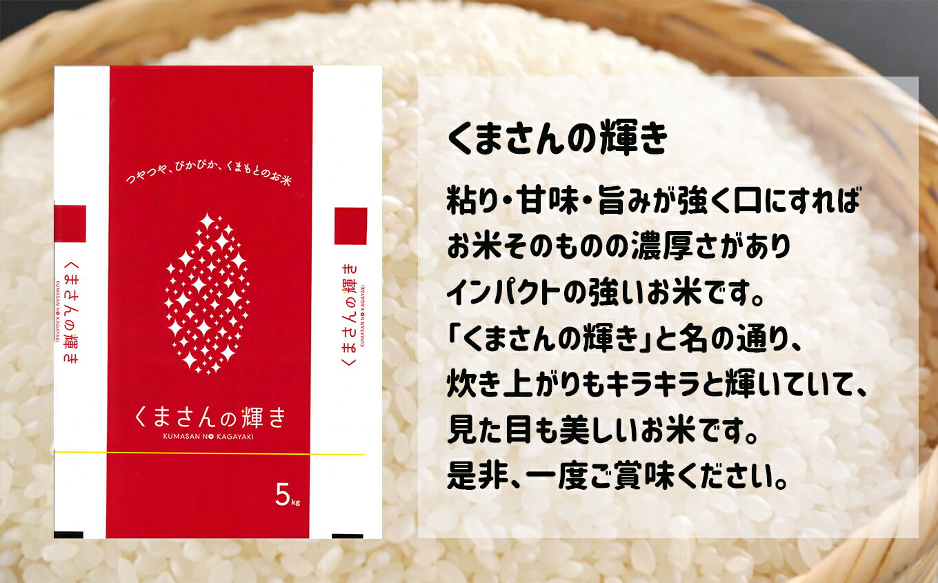 【ふるさと納税】定期便6回　熊本県産　米　くまさんの輝き 10kg×6回　送料無料