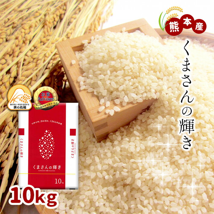 【ふるさと納税】定期便6回　熊本県産　米　くまさんの輝き 10kg×6回　送料無料