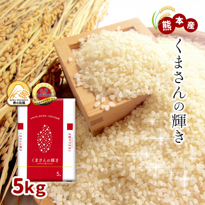 定期便6回 熊本県産 米 くまさんの輝き 5kg×6回 送料無料 | 玉名 熊本