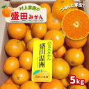 23位! 口コミ数「3件」評価「5」みかん 盛田みかん 5kg 盛田温州 村上農園 数量限定 大小混合 産地直送 生産者直送 希少品種 減農薬 薄皮 玉名 熊本 送料無料