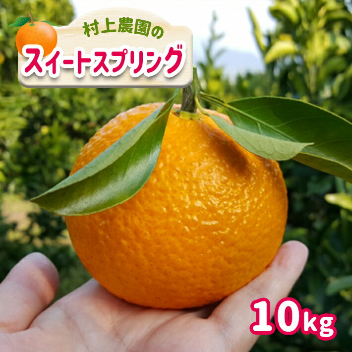 2位! 口コミ数「0件」評価「0」スイートスプリング 柑橘 みかん 果物 フルーツ 10kg 村上農園 生産者直送 産地直送 減農薬 熊本 玉名 送料無料