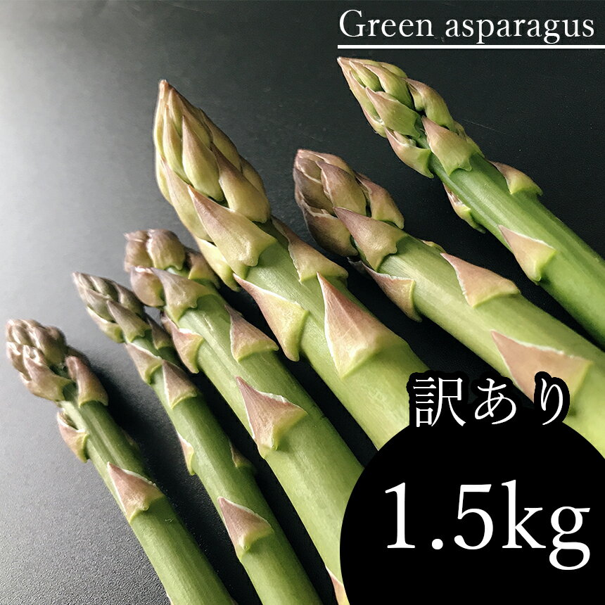 【ふるさと納税】 訳あり アスパラガス 1.5kg アスパラ