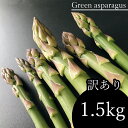 23位! 口コミ数「0件」評価「0」 訳あり アスパラガス 1.5kg アスパラ 野菜 家庭用 産地直送 生産者直送 大小混合 1.5キロ 玉名 熊本 送料無料