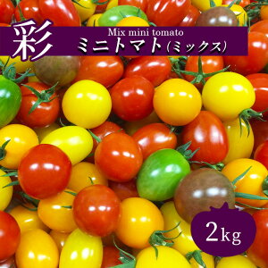 【ふるさと納税】 カラフル ミニトマト 2kg トマト カラートマト