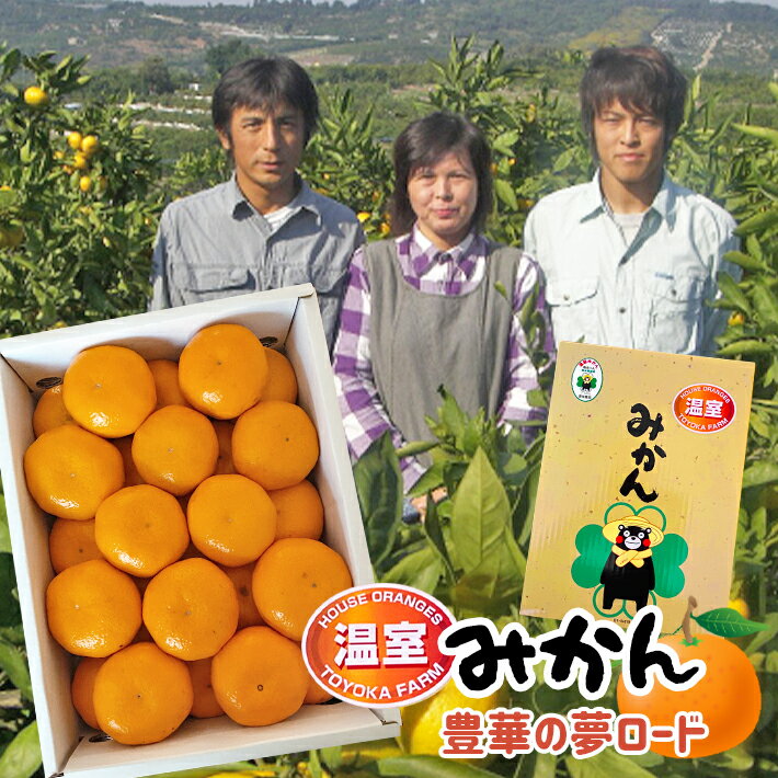 アイテムID:318452の画像1枚目