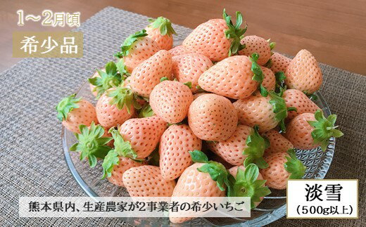 【ふるさと納税】【定期便】熊本人気フルーツ 玉名市産 [旬な季節に合計6回発送]熊本県産 人気果物 白いちご 苺 不知火 メロン すいか アイス みかん