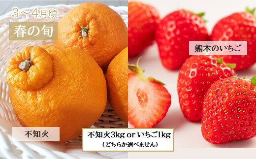 【ふるさと納税】【定期便】熊本人気フルーツ 玉名市産 [旬な季節に合計6回発送]熊本県産 人気果物 白いちご 苺 不知火 メロン すいか アイス みかん