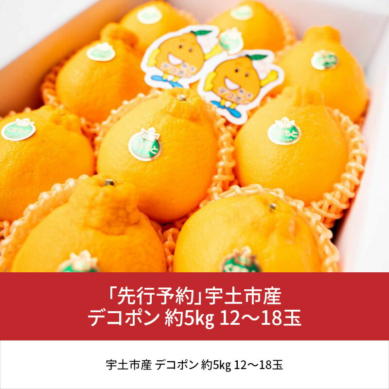 【ふるさと納税】「先行予約」宇土市産 デコポン 約5kg 12〜18玉 【熊本県宇土市】