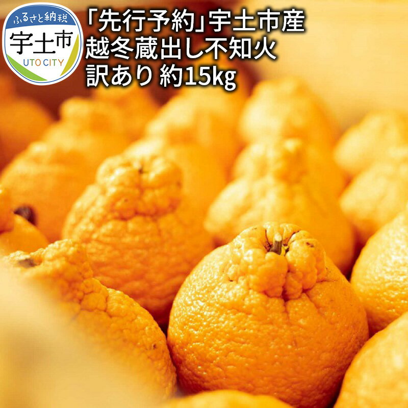 【ふるさと納税】【訳あり】「先行予約」宇土市産 越冬蔵出し不知火 訳あり 約15kg 4L〜Mサイズ 【熊本県宇土市】
