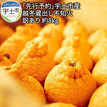 【ふるさと納税】【訳あり】「先行予約」宇土市産 越冬蔵出し不知火 訳あり 約8kg 4L〜Mサイズ 【熊本県宇土市】