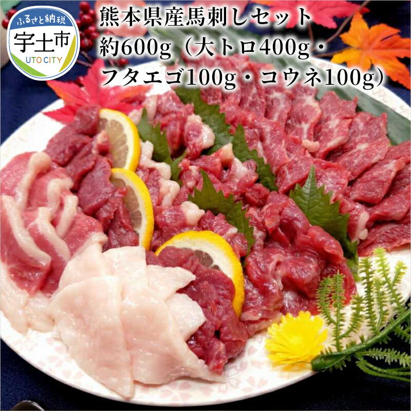 4位! 口コミ数「0件」評価「0」熊本県産馬刺しセット約600g（大トロ400g・フタエゴ100g・コウネ100g）　※タレ、生姜付【熊本県宇土市】