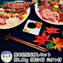 【ふるさと納税】熊本県産馬刺しセット約1.1kg(盛合せ) ※タレ付【熊本県宇土市】