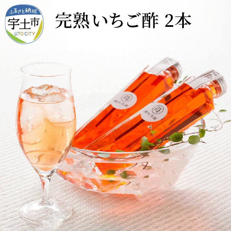 園村苺園 農家秘伝の完熟いちご酢 200ml×2本