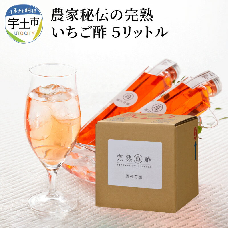 25位! 口コミ数「0件」評価「0」園村苺園 農家秘伝の完熟いちご酢 5リットル【熊本県宇土市】