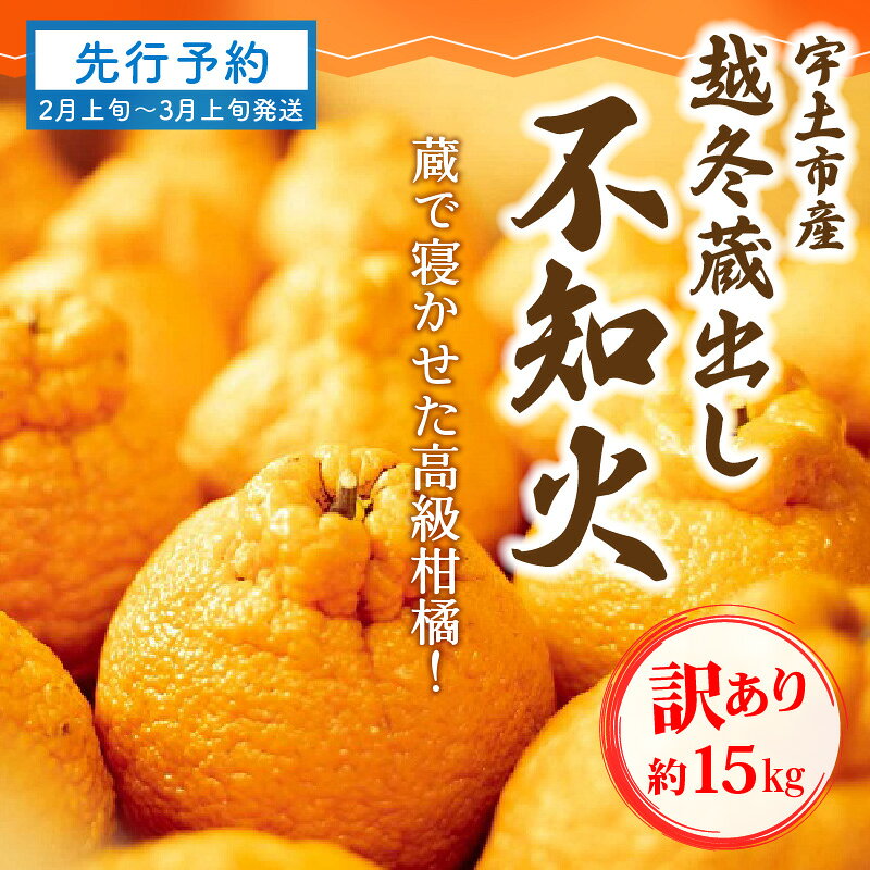 【ふるさと納税】【訳あり】「先行予約」宇土市産 越冬蔵出し不知火 訳あり 約15kg 4L〜Mサイズ 【熊本県宇土市】