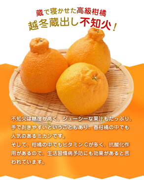 【ふるさと納税】【訳あり】「先行予約」宇土市産 越冬蔵出し不知火 訳あり 約8kg 4L〜Mサイズ 【熊本県宇土市】