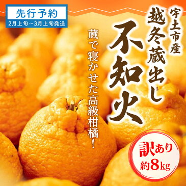 【ふるさと納税】【訳あり】「先行予約」宇土市産 越冬蔵出し不知火 訳あり 約8kg 4L〜Mサイズ 【熊本県宇土市】
