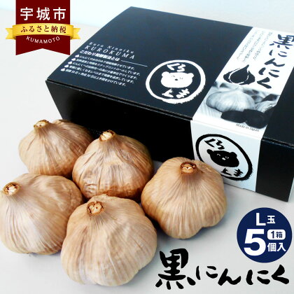 黒にんにく くろくま L玉 5個×1箱 青森県産 A級品 野菜 ニンニク ガーリック トッピング 健康 国産 送料無料