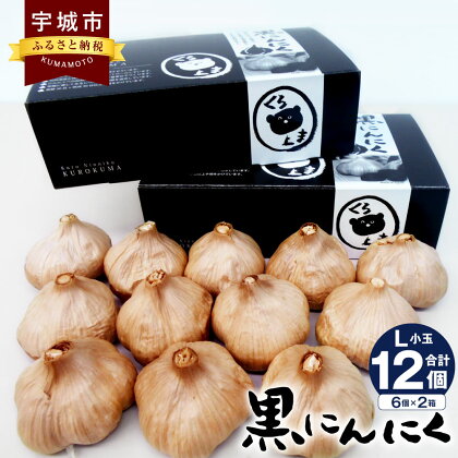 黒にんにく くろくま L小玉 6個×2箱 合計12個 青森県産 A級品 野菜 ニンニク ガーリック トッピング 健康 国産 送料無料